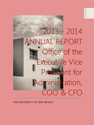 annual-report-1314